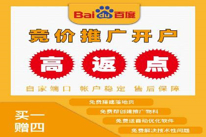 精选案例分享：SEM代运营公司效果展示